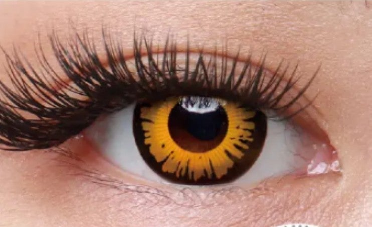 FreshLady -Wilight Bella